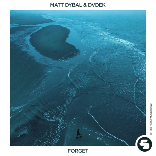 Matt Dybal, DVDEK - Forget [SIR1486]